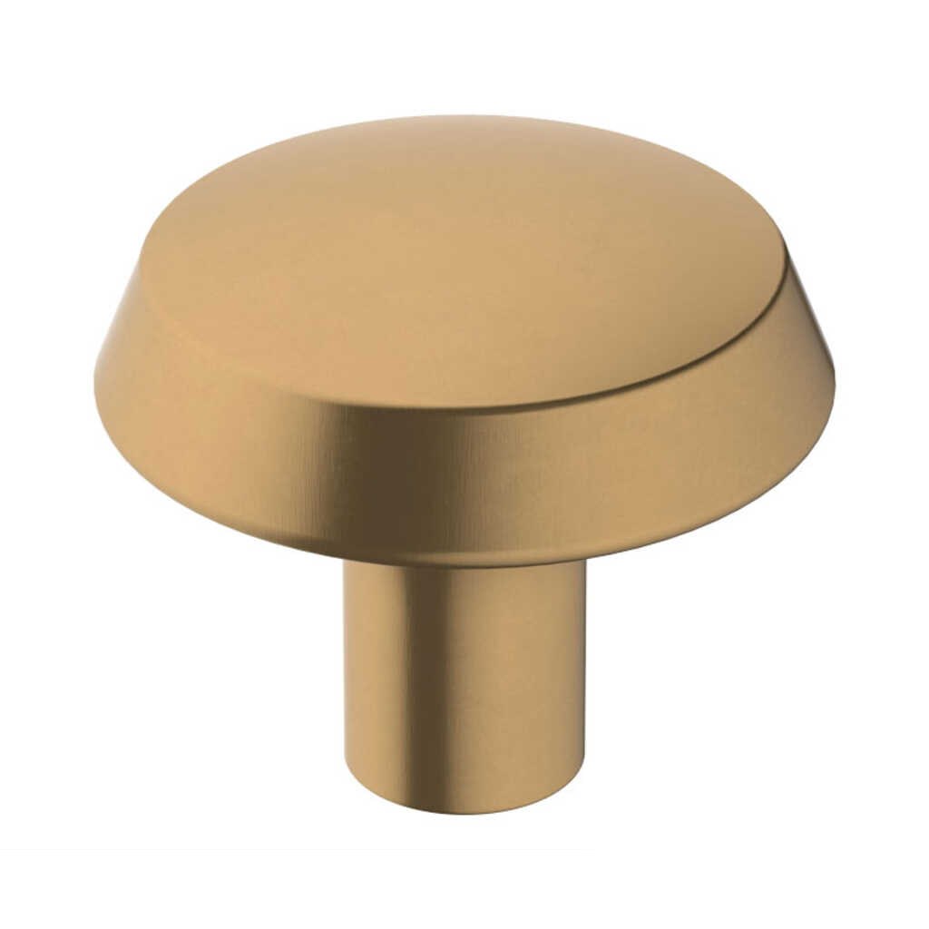 Premise knob, champagne bronze